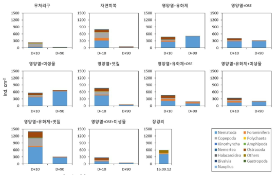 정화기법 별 중형저서동물 개체수의 시간별 변화량