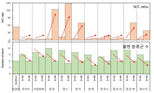 정화기법 별 중형저서동물의 N/C ratio와 출현 분류군 수의 시간적인 변화량