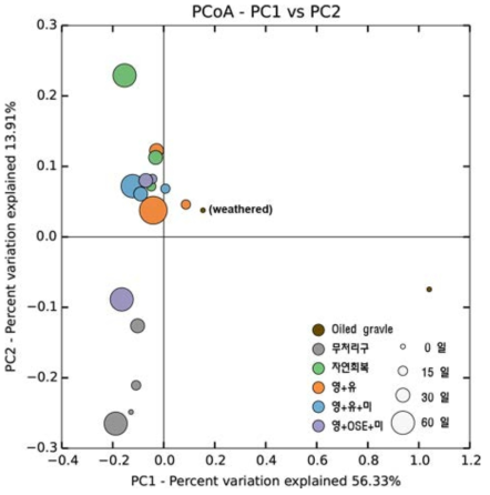 미생물 군집의 PCoA 분석