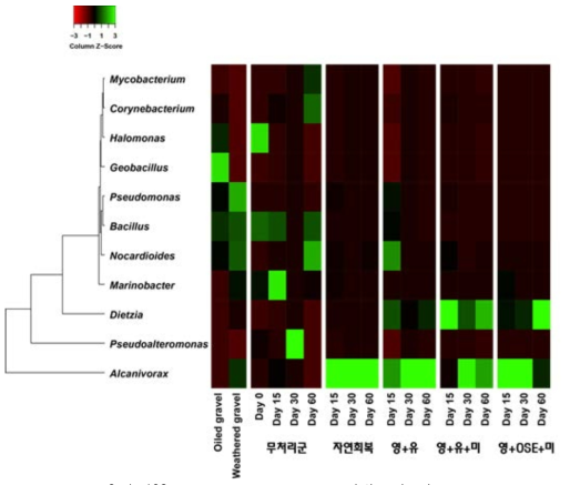 유류 분해능이 뛰어난 속의 relative abundance 변화