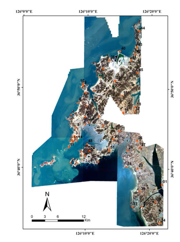 태안지역의 IKONOS 위성영상과 지상기준점 측정 지점