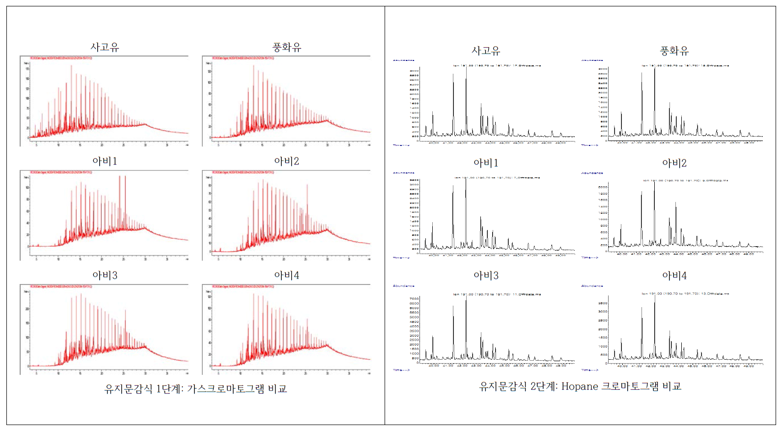 유지문감식 프로토콜에 따른 분석자료 비교