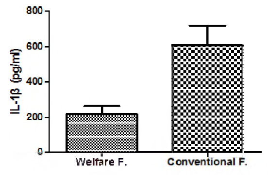 산란계 복지농장과 일반농장의 사이토카인(IL-1β) 농도 비교