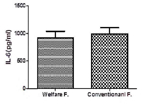 산란계 복지농장과 일반농장의 사이토카인(IL-6) 농도 비교