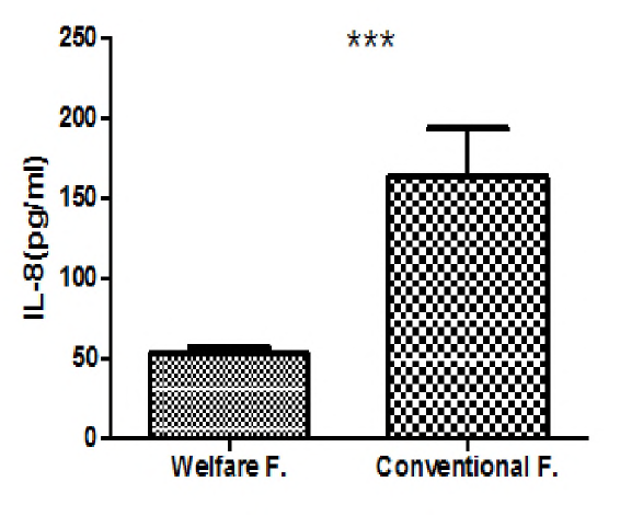 산란계 복지농장과 일반농장의 사이토카인(IL-8) 농도 비교
