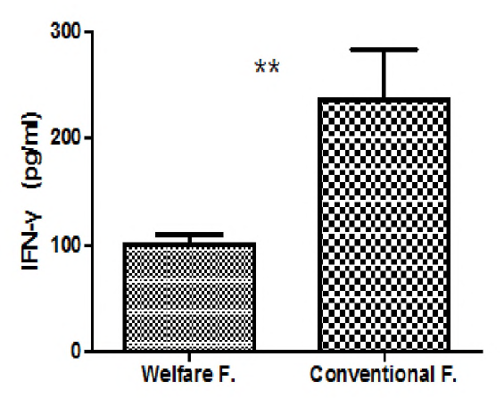산란계 복지농장과 일반농장의 사이토카인(IFN-r)농도 비교