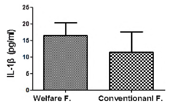육계 복지농장과 일반농장의 사이토카인(IL-1β) 농도 비교