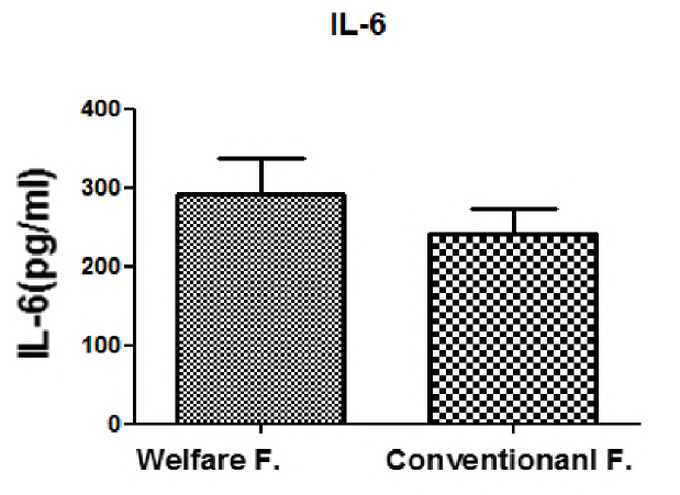 육계 복지농장과 일반농장의 사이토카인(IL-6) 농도 비교
