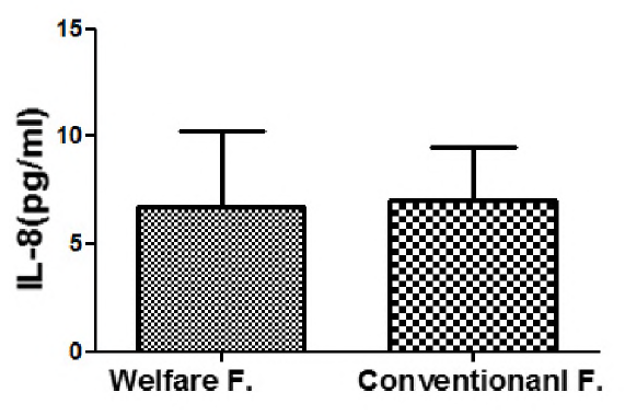 육계 복지농장과 일반농장의 사이토카인(IL-8) 농도 비교
