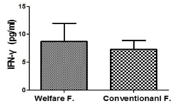 육계 복지농장과 일반농장의 사이토카인(IFN-r)농도 비교