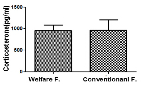 산란계 복지농장과 일반농장의 Corticosterone 농도 비교