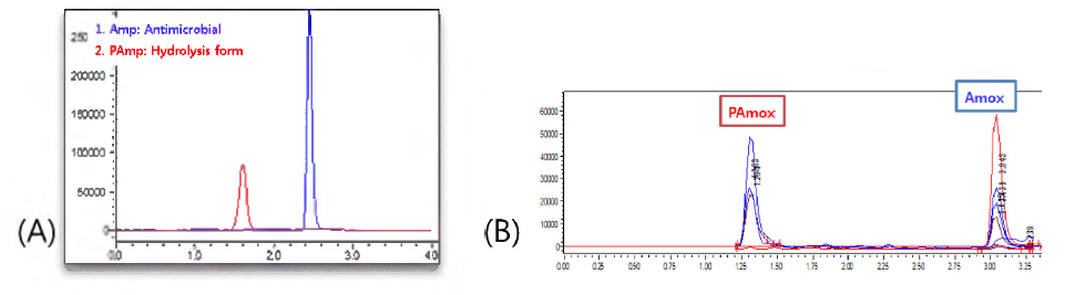 The full mass ion chromatograms of Amp and PAmp (A), Amox and PAmox (B) in Sab model´s sample (resistant, 5min) by LC-MS/MS