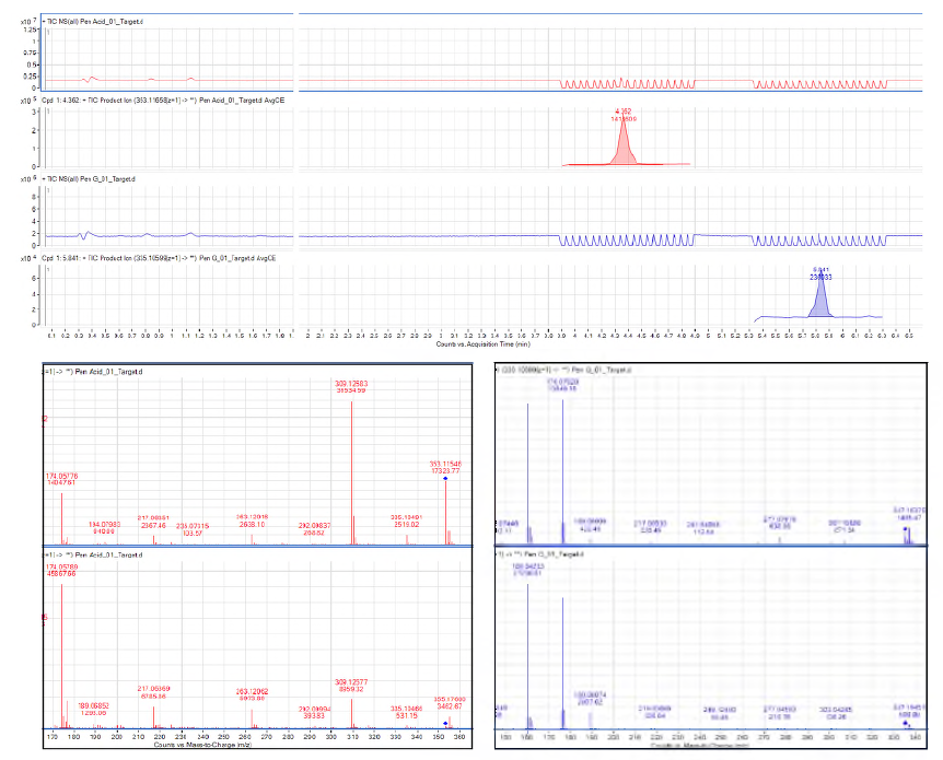 LC-QTOF/MS targeted ion mode (qualification and quantification ions) analysis of PPenG (red) and PenG (blue)