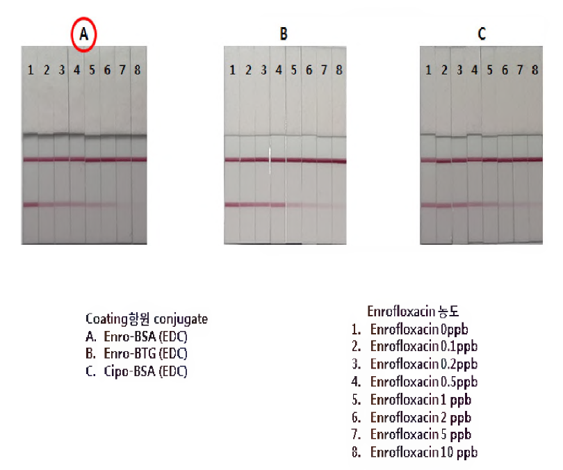 퀴놀론(8-1-8) 코팅항원 결정 및 검출감도