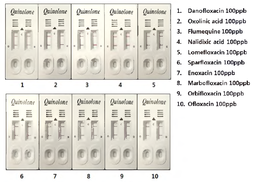 시제품 키트의 플루오르퀴놀론 계열의 기술개발 항생제와의 교차반응 시험