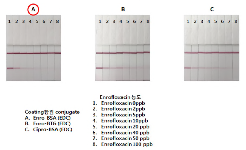 퀴놀론(2C4-10) 코팅항원 결정 및 검출감도