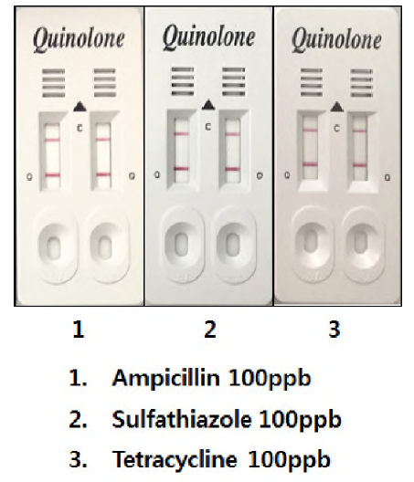 완제품 키트의 다른 계열의 항생제와의 교차반응 시험