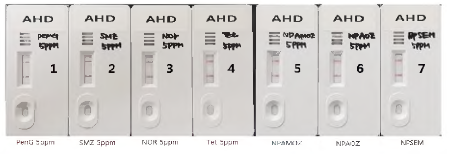 AHD 완제품 교차반응 테스트