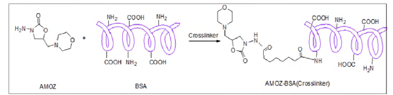 AMOZ-BSA conjugate