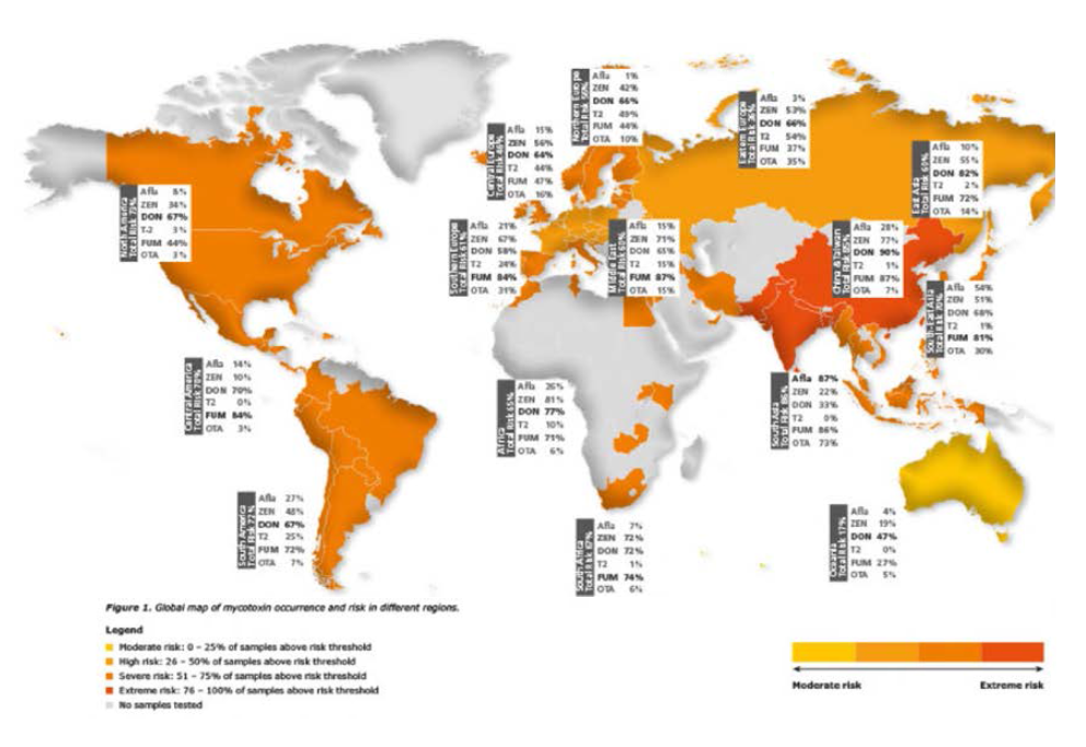 전세계 사료 원료 및 사료에서 지역별 곰팡이 독소 양성률