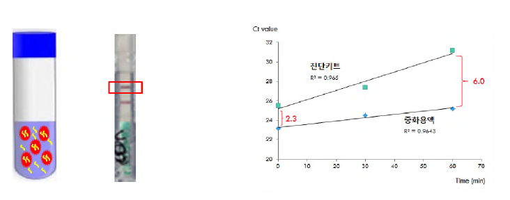 중화용액 및 간이키트에서의 분리 바이러스 정량시험 결과