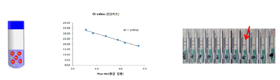 간이키트를 이용한 바이러스 유전자 정량 결과