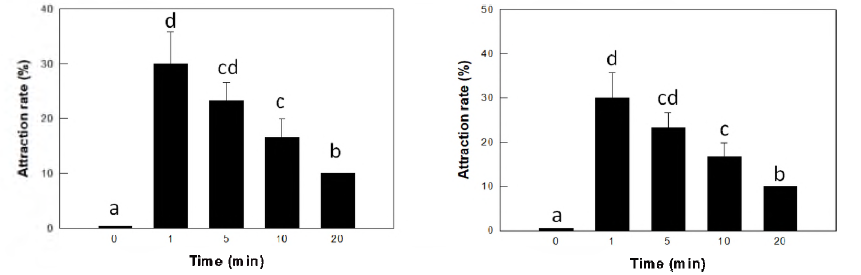 붉은불개미 일개미(좌: 대형개체，우: 소형개체)의 alpha-farnesene에 대한 접근 시간 및 접근 개체 비율