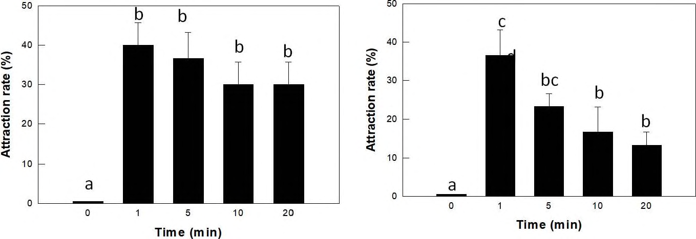 붉은불개미 일개미(좌: 대형개체，우: 소형개체)의 allofamesene에 대한 접근 시간 및 접근 개체 비율