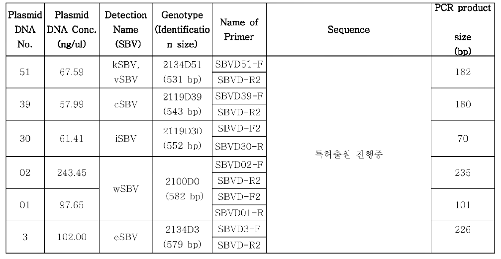 제작된 프라이머 정보 및 표준 DNA 농도확인