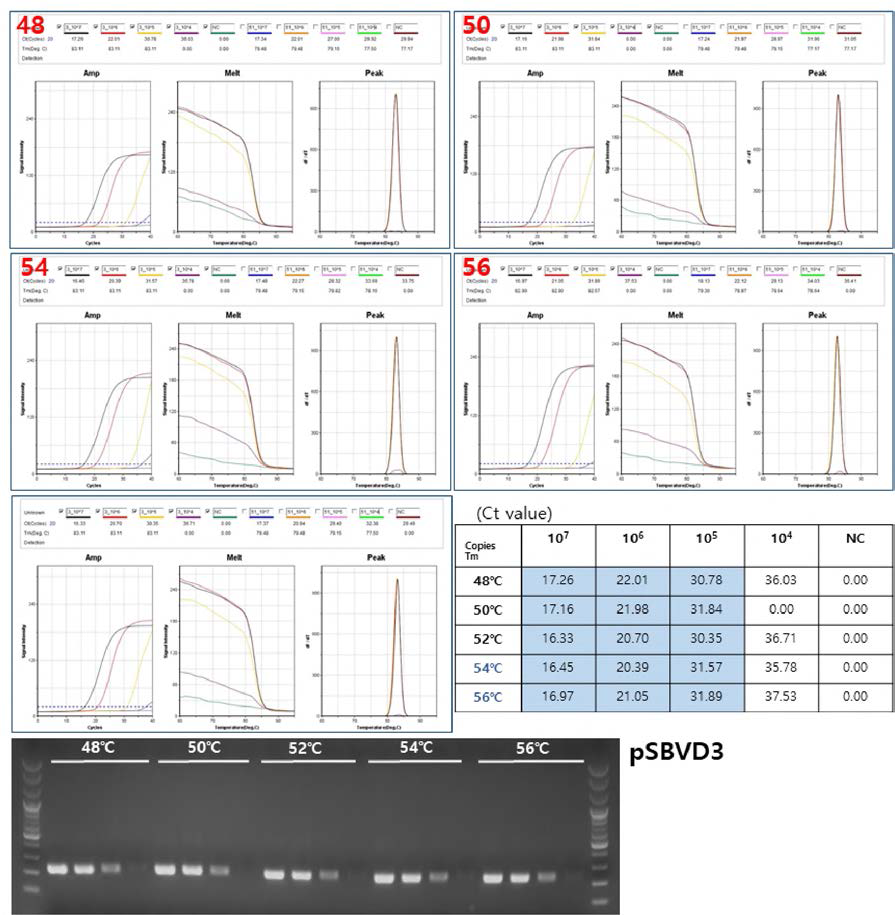 pSBVD3을 민감도 측정 및 PCR 최적 조건