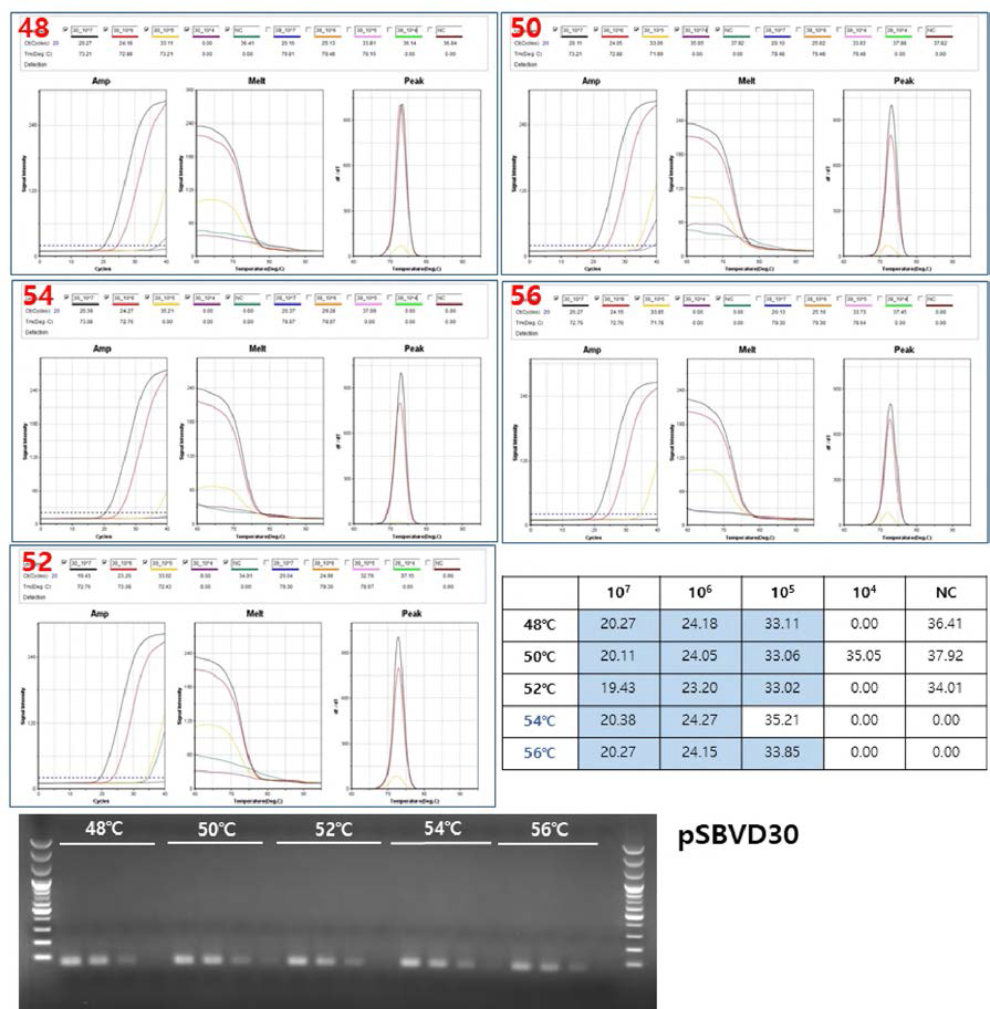 PSBVD30을 민감도 측정 및 PCR 최적 조건