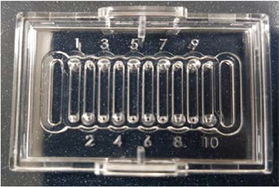 실험에 사용한 마이크로플루이딕칩