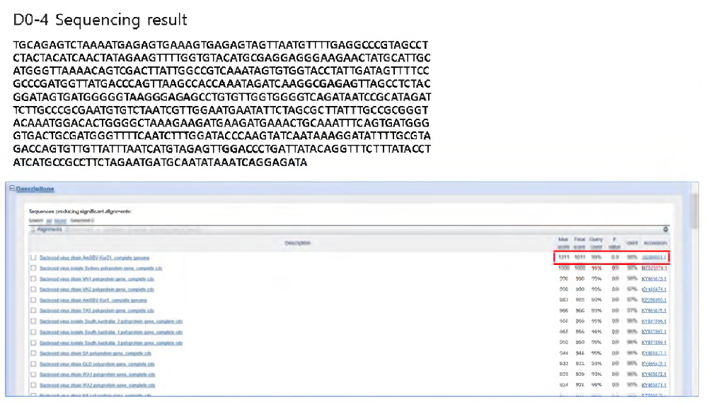 시료 2 sequencing 후 NCBI에서 확인