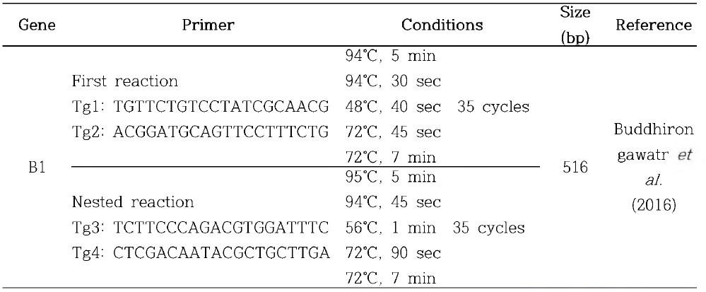 톡소플라즈마 유전자 진단법(PCR) primer 및 조건
