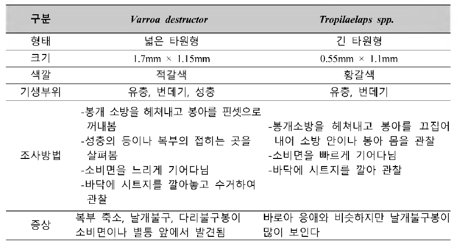 Varroa destructor 및 Tropilaelaps spp.의 비교