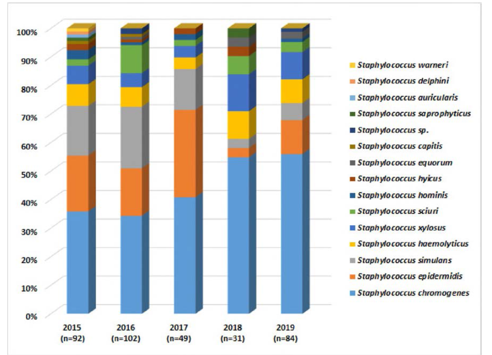 최근 5년간 CNS 균주에 대한 균종별 분포도 비교 (2015-2019)