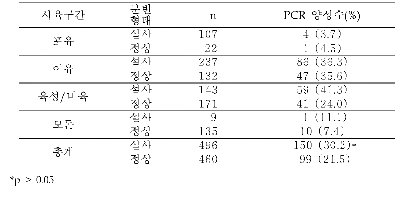 사육단계별 및 분변형태별 와포자충에 대한 nested PCR 결과