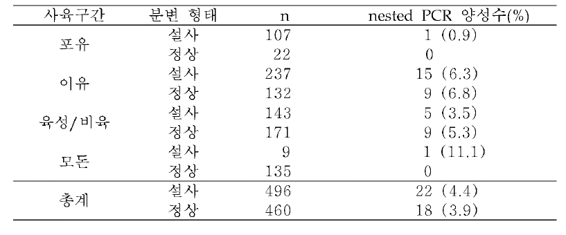 사육단계별 및 분변형태별 십이지장편모충의 nested PCR 검출