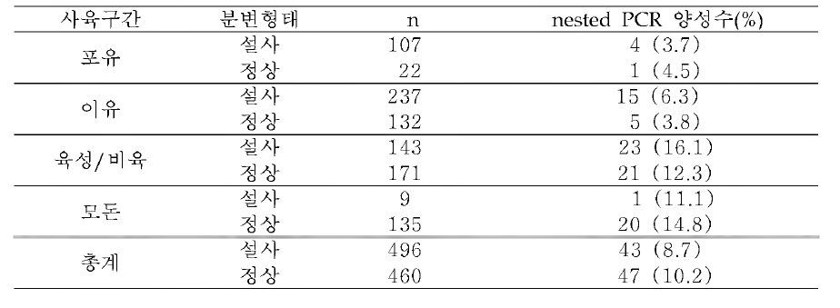 사육단계별 및 분변형태별 섬모충 nested PCR 검출