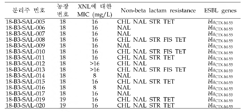 제3세대 세팜계 항생제 내성 살모넬라의 특성 분석