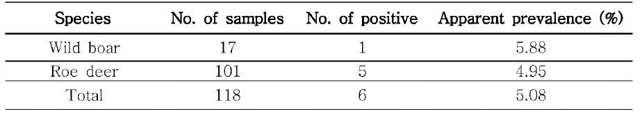 제주지역 노루, 멧돼지에서의 항체검사 결과