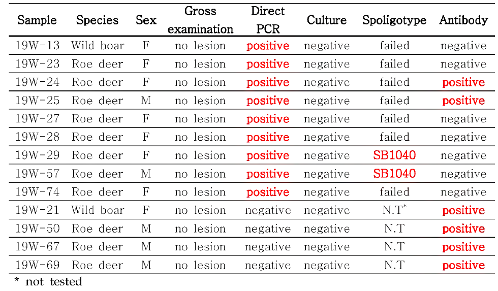 항체 양성/ Direct PCR 양성개체의 실험실 진단방법 종합결과