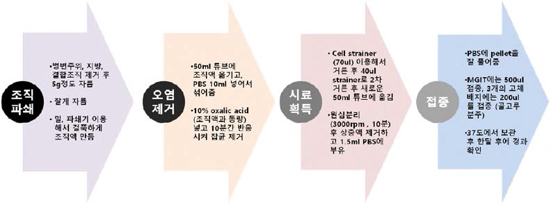 조직검체의 균배양과정