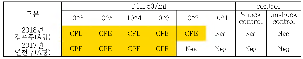 RNA Electrophorsis 방법을 적용하여 분리 가능한 FMDV 최소 역가 확인 결과