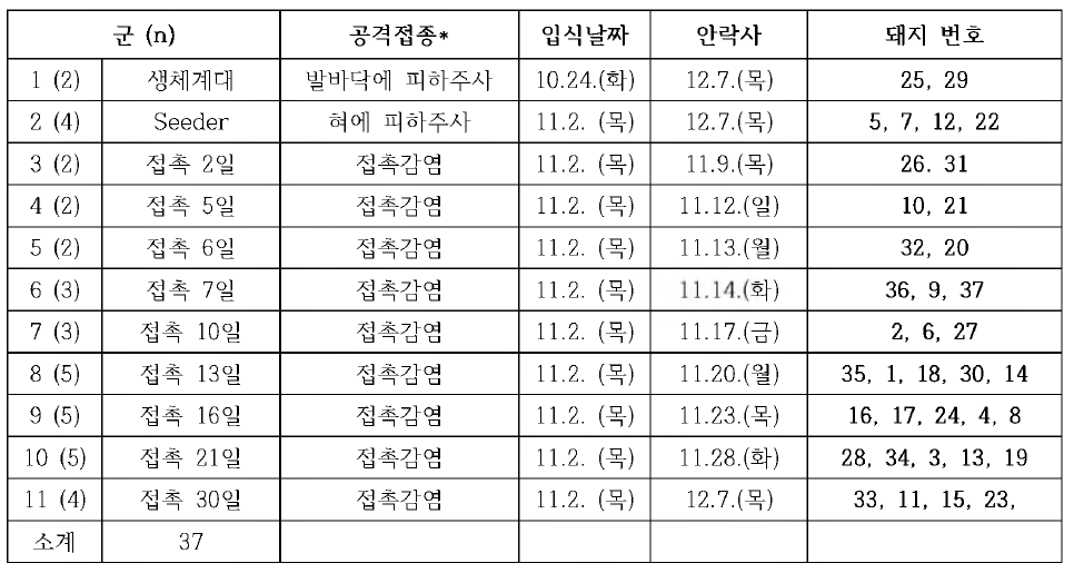 구제역 감염 일자별 혈청 생산을 위한 실험군 및 실험 일자