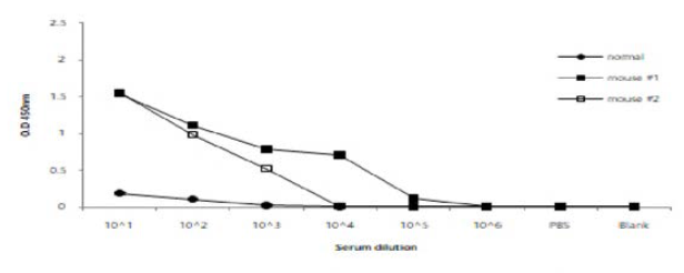 Iraq22(VPl)를 면역한 마우스의 항혈청에 대한 역가 검정 결과