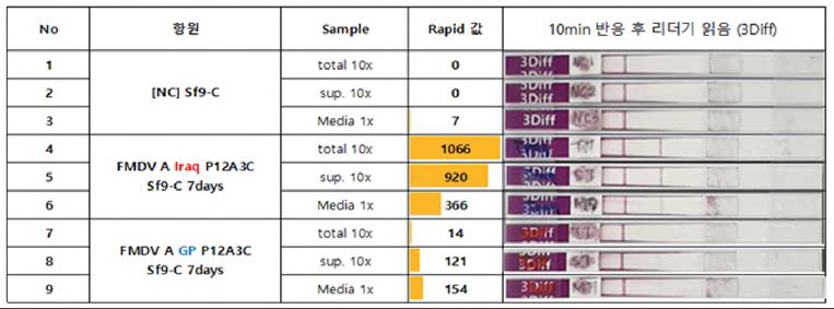 FMDV Type A (A22 Iraq주) 재조합단백질 Rapid kit를 통한 발현 확인