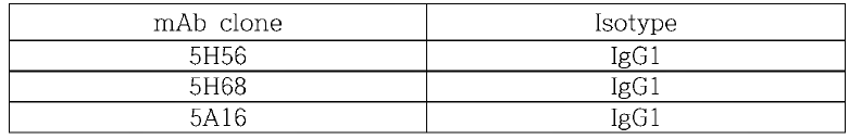 단클론항체의 isotype 확인