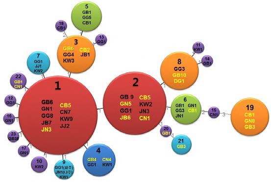국내 B. abortus 분리주의 MST 분석 비교. 총 178주를 이용하였으며 각 원의 크기는 균수에 비례함. (지역/균수; GG 경기，GB 경북，GN 경남，JB 전북， JN 전남，CB 충북，CN 충남，KW 강원，JJ 제주)