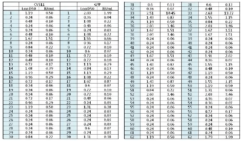 개 혈청 62개에 형광항체중화시험법 (FAVN)과 ERAGS-GFP 바이러스를 이용한 형광항체중화시험법 (FAVN-GFP)를 적용한 항체가 결과